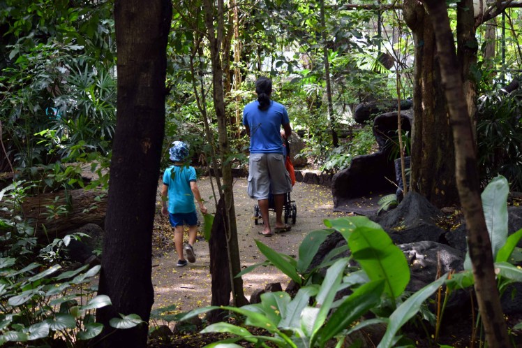 walking-through-dusit-zoo